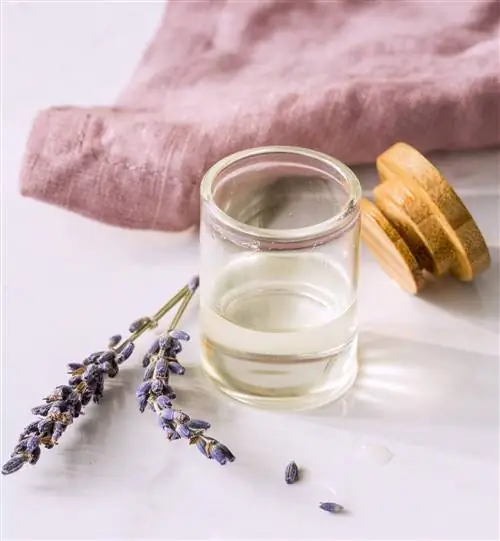 эфирное масло лаванды 00472699