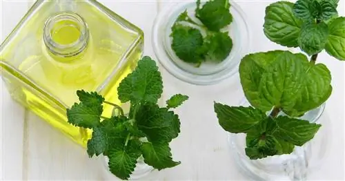 10 эфирных масел, которые должны быть у вас дома