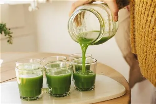 Летний рецепт с Термомиксом: детокс-сок.