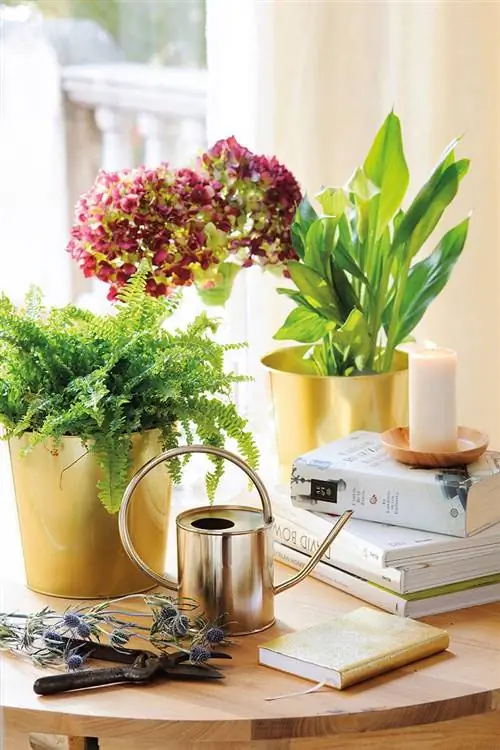 Букет-цветов-рождество-элегантный-золотой-горшок-470650