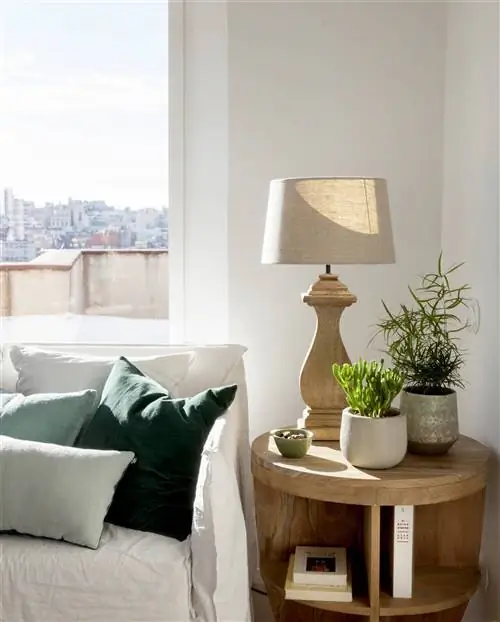 Растения, опять же