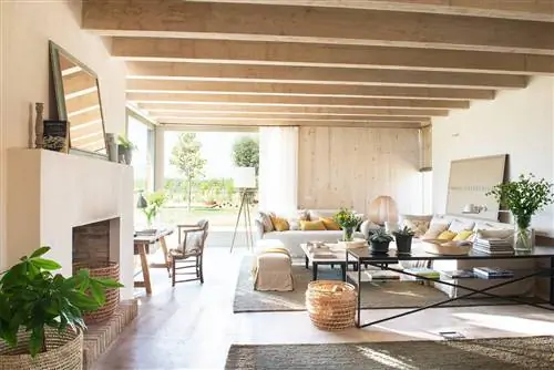 Гостиная с камином 00466925. Естественный вид и дух