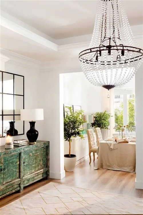 Комнатное дерево - Лимонное дерево 00460913. Лимонное дерево