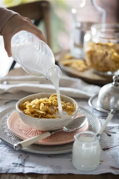 Молоко и его производные