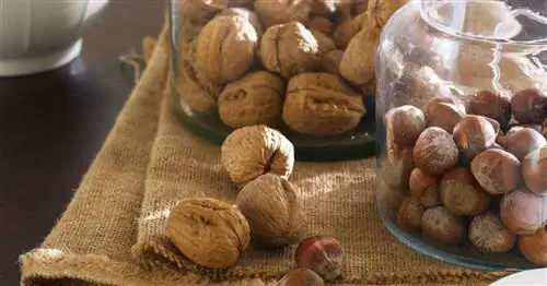 7 продуктов, которые помогают бороться со стрессом