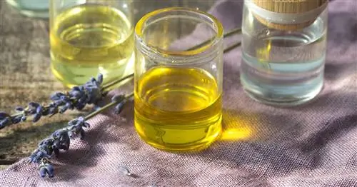 Уловки красоты на всю жизнь, которые работают