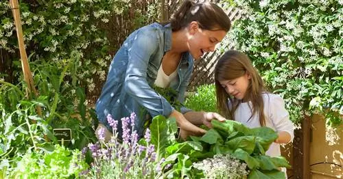 Простые в уходе растения для детей