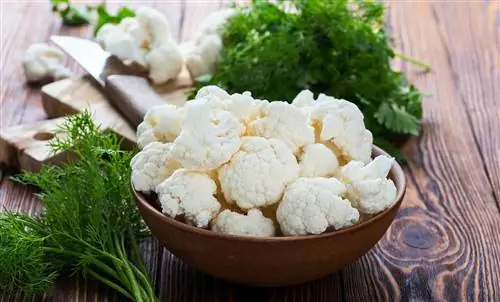 Цветочные овощи: брокколи, артишоки, цветная капуста