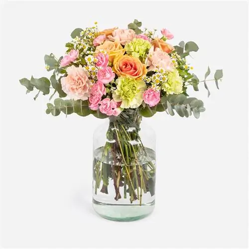 SPRING VIBES ФРОНТАЛЬНЫЙ КОЛВИН SPRING VIBES ФРОНТАЛЬНЫЙ КОЛВИН