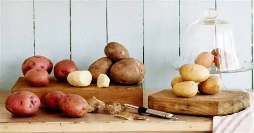 15 продуктов, которые НИКОГДА не следует класть в холодильник