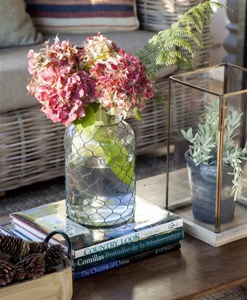 5. Что скрывает ее красота