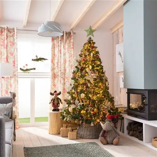 природа-рождество-2019-проверено-фото-09. природа-рождество-2019-леруа мерлен