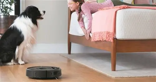 Робот-пылесос Roomba стал доступнее, чем когда-либо, в Черную пятницу и Киберпонедельник