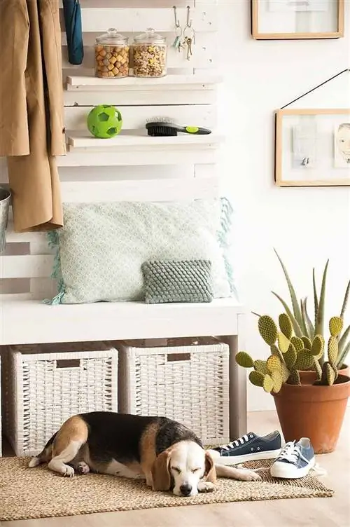 Штук-стилисты-зал-00454896. Корзины: великие союзники