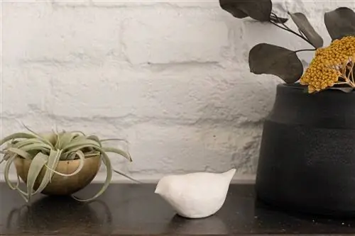 Неус Казанова: птица дружбы