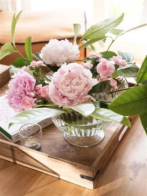 Фрагмент букета пионов на журнальном столике в гостиной_00511372 O