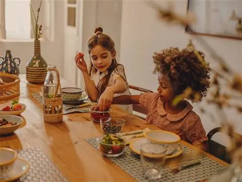 зара домашний стол