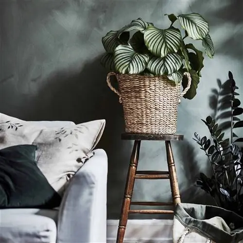 ikea-коллекция-ботаник-2020-PH167926-кашпо ikea-коллекция-ботаник-2020-PH167926-кашпо