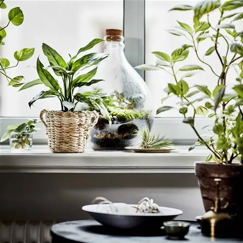 ikea-коллекция-ботаник-2020-PH167921-кашпо ikea-коллекция-ботаник-2020-PH167921-кашпо