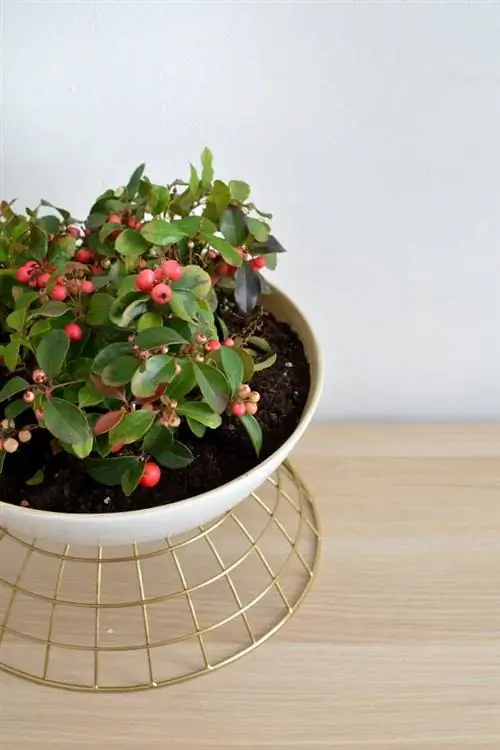 ikea hacks pinterest - плантатор ikea hacks pinterest - плантатор