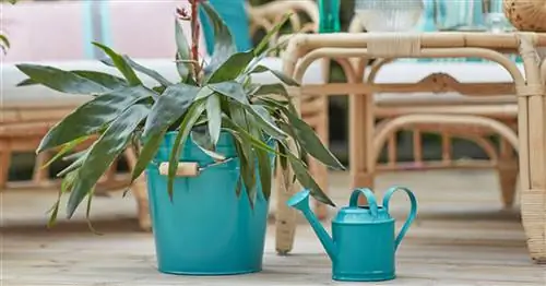 Ikea Outlet: 13 выгодных предложений этого лета
