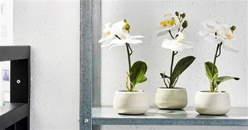 Искусственные растения Ikea: хороший вариант для украшения дома