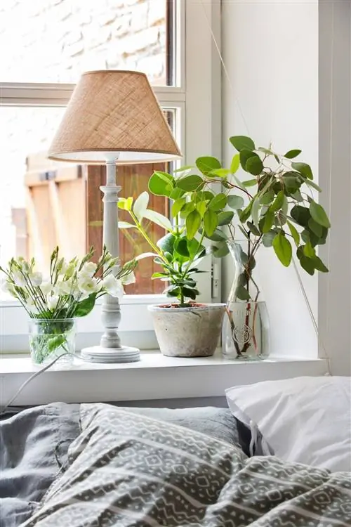 Подоконник, украшенный растениями