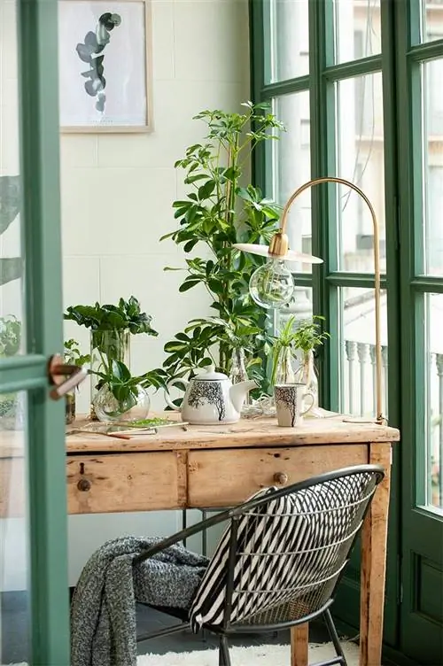 Рабочий стол, украшенный растениями