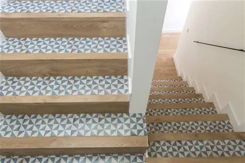 реформа vivestudio