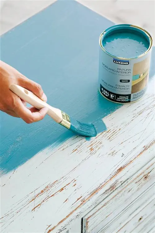 СДЕЛАЙ САМ-ШАГ ЗА ШАГОМ-КРАСКА-МЕБЕЛЬ-ПРОФЕССИОНАЛЬНАЯ-ОТДЕЛКА-00368543