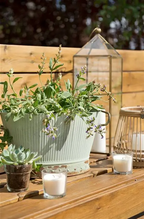 горшки-и-свечи-на-террасе-00406474 O