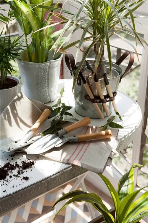 садовые инструменты-на-столе_00394843_O