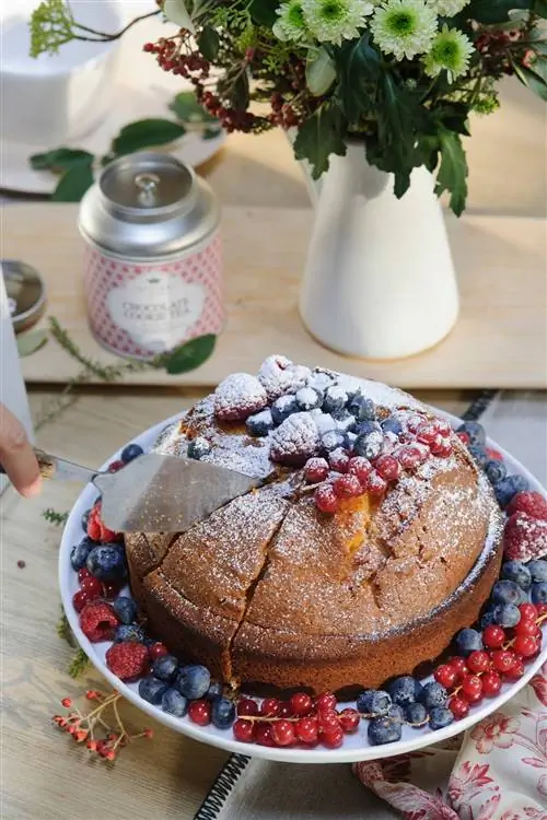 Торт красный фруктовый 00472089 O