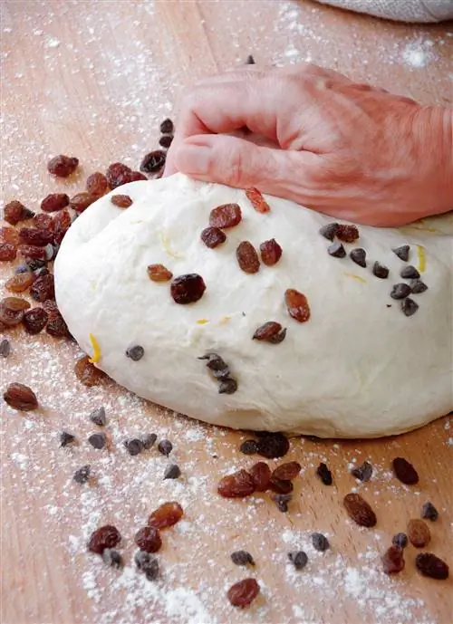 тесто с орехами и изюмом 00469670