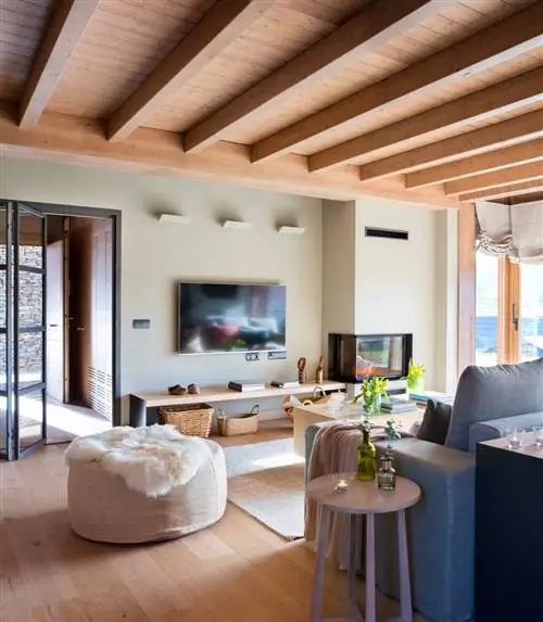 Минималистский закрытый камин 500845