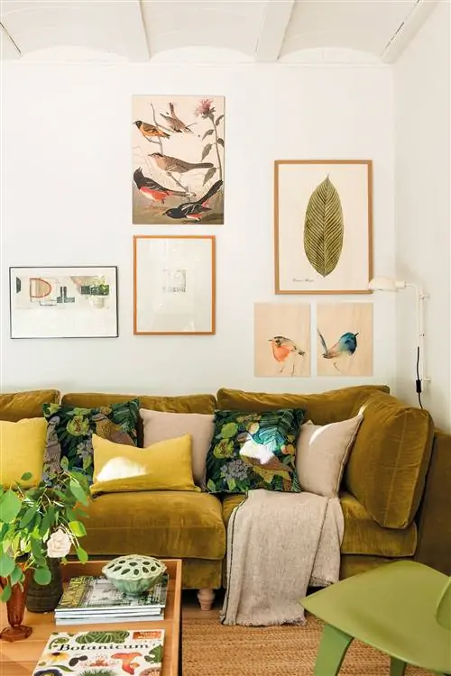 00488802 599a4237 1333x2000