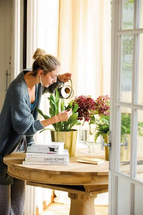 Гортензии-00468019