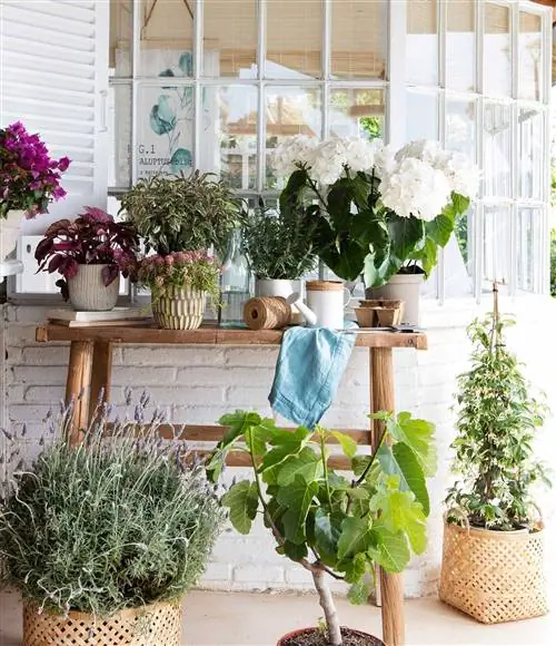 00495952-о 3cc22521 1724x2000