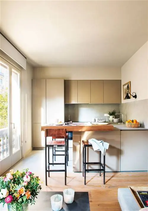 Небольшая кухня, переходящая в гостиную с мебелью цвета норки_00469234