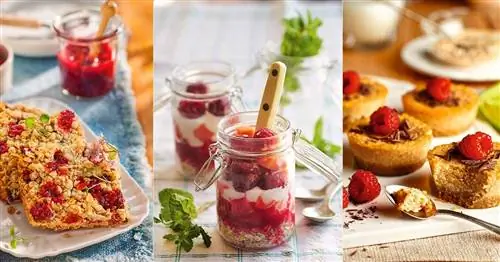 15 простых и вкусных рецептов овсянки на любое время дня