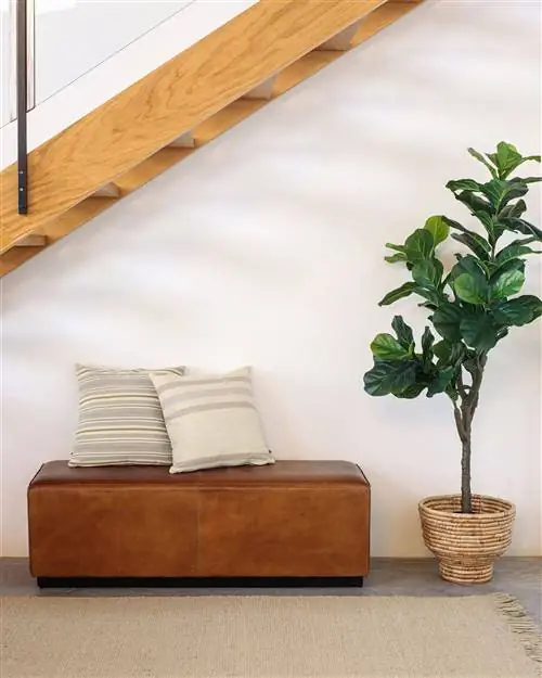 Kave Home Искусственный фикус