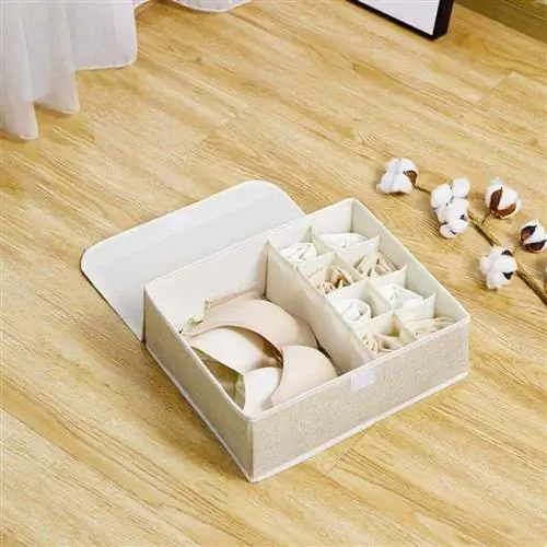 Amazon Beige Lidded Bra & Underwear Organizer Amazon Beige Lidded Bra & Underwear Organizer