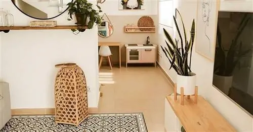 Fancyhaus: реформы без работы, которые охватывают влиятельных лиц