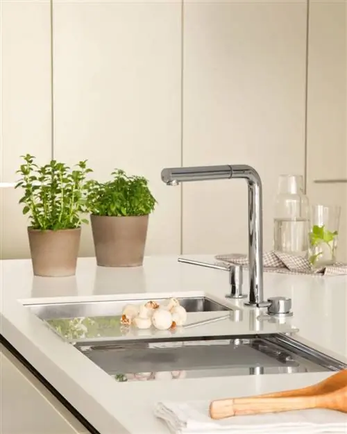 деталь грифона Бланко-Дейка