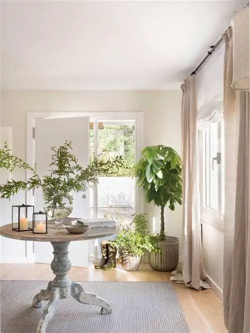 просторно-светлый зал 00511365 O