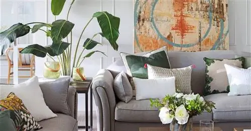 Любимые растения дизайнеров интерьера El Mueble