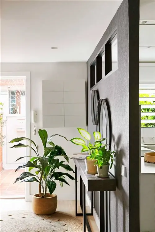 малый современный зал 00524452 O