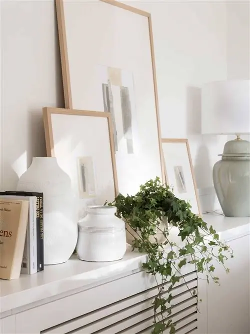 Деталь-декоративные-изображения 00524517