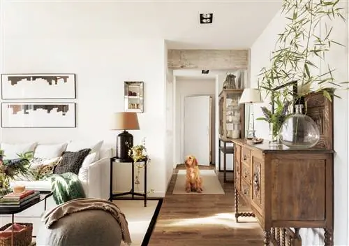 белая гостиная с контрастами00493756