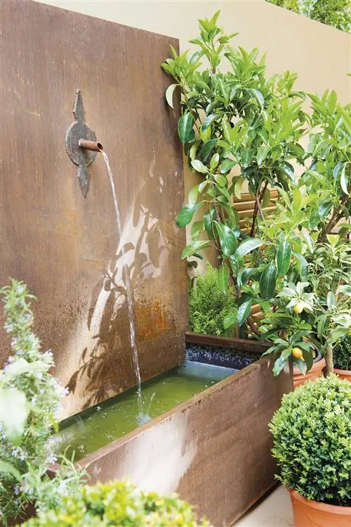 Image Image